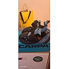 Penjačice Scarpa Instinct VS-R