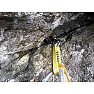Metulj Black Diamond Camalot C4 2
