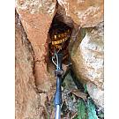 Metulj Black Diamond Camalot C4 2