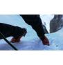 Zimske cipele Scarpa Mont Blanc Pro GTX