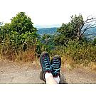 Ženske niske planinarske cipele Salewa MTN Trainer GTX