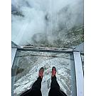 Ženske cipele Salewa MTN Trainer Lite Mid GTX