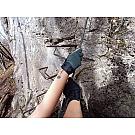 Rukavice za ferate Black Diamond Crag half finger