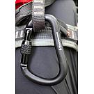 Karabiner s maticom Black Diamond Rocklock