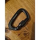 Karabiner s maticom Black Diamond Rocklock