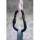 Karabiner s maticom Black Diamond Rocklock