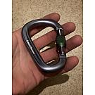 Karabiner s maticom Black Diamond Pearlock