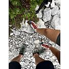 Ženske niske planinarske cipele Salewa Wildfire 2 GTX