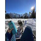 Termosica SnowMonkey Traveler 1L 2.0