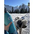 Termosica SnowMonkey Traveler 1L 2.0