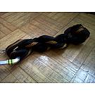 Nylon zamka Rock Empire 180cm, 16mm