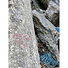 Jednoslojno penjačko uže Edelrid Boa 9,8 70m