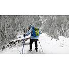 Ženske visoke planinarske cipele  Salewa Crow GTX