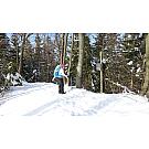 Ženske visoke planinarske cipele  Salewa Crow GTX